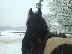 WP_001540.jpg WP_001540.jpg