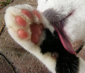 084web.jpg 084web.jpg