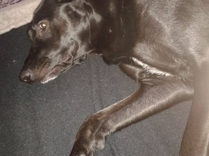 2013-01-25 12.27.14.jpg