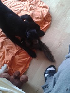 2013-01-25 13.26.14.jpg