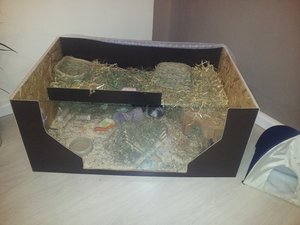 20130122_191850.jpg 20130122_191850.jpg