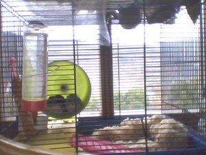 TPhoto_00002.jpg TPhoto_00002.jpg