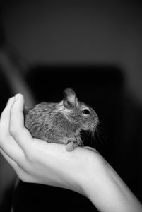 _DSC04a52.jpg _DSC04a52.jpg