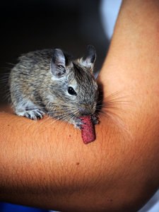 _DSC04j54.jpg _DSC04j54.jpg