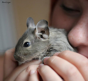 561309_403082909740429_1649400642_n.jpg 561309_403082909740429_1649400642_n.jpg