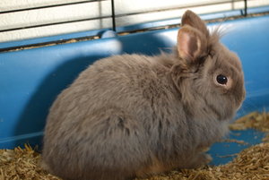 Rocky_5.jpg Rocky_5.jpg