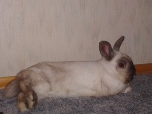 2013-02-05 12.32.41.jpg 2013-02-05 12.32.41.jpg