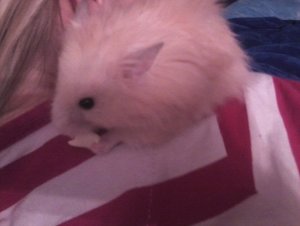 neues Handy 2012 028.jpg