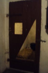 Tiere&Freunde 030.JPG