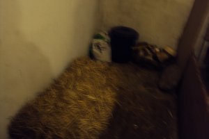 Tiere&Freunde 035.JPG