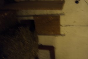 Tiere&Freunde 036.JPG