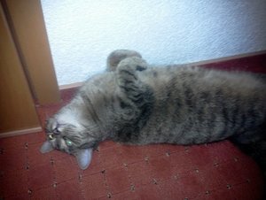 Foto0545.jpg Foto0545.jpg