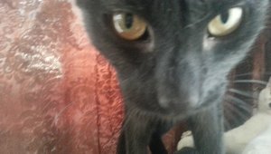 20130102_145724.jpg 20130102_145724.jpg