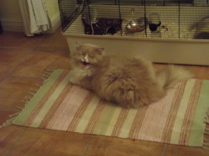 13391865xp.jpg 13391865xp.jpg