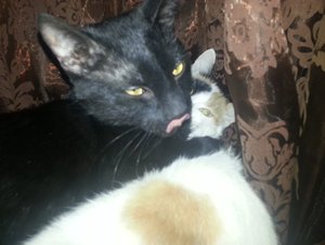 Floh & Marie.jpg Floh & Marie.jpg