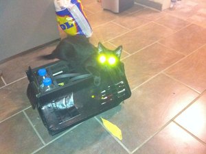 Laser Augen.jpg Laser Augen.jpg