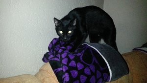 Decke kneten.jpg Decke kneten.jpg