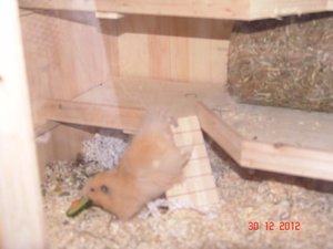 hier muss man aber schuften.JPG