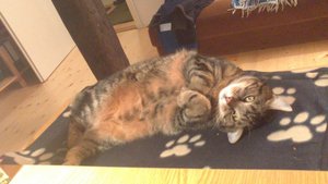 DSC_0050.JPG DSC_0050.JPG