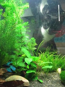 IMG_2236.jpg IMG_2236.jpg