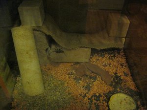 IMG_1466.JPG IMG_1466.JPG