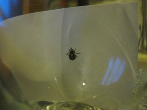 IMG_1461.JPG IMG_1461.JPG