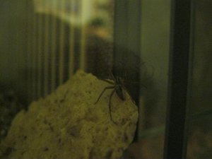 IMG_1465.JPG IMG_1465.JPG