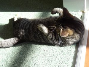 DSC02734.jpg DSC02734.jpg