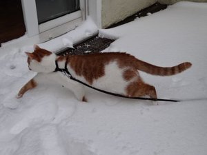 DSC01064.jpg DSC01064.jpg