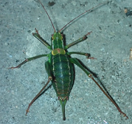 Unbenannt.png Unbenannt.png