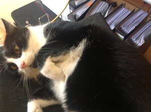 mittagspause.jpg mittagspause.jpg