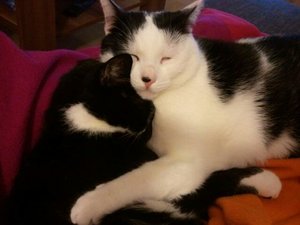 2012-11-24_22.33.55.jpg 2012-11-24_22.33.55.jpg