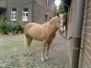 alles 349.jpg alles 349.jpg