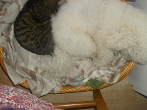 560129_428226207257329_67345283_n.jpg 560129_428226207257329_67345283_n.jpg