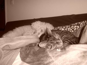 66744_428226457257304_503585568_n.jpg 66744_428226457257304_503585568_n.jpg