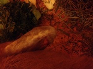 Foto(2).JPG Foto(2).JPG