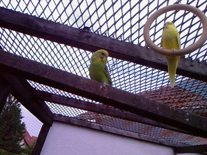 neues Handy 2012 002.jpg