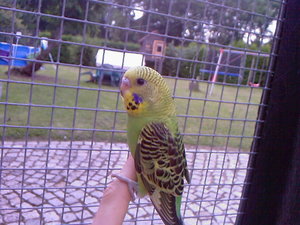 neues Handy 2012 008.jpg