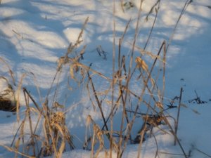 P1240282.JPG P1240282.JPG