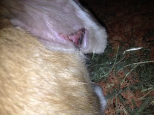 Foto(4).JPG Foto(4).JPG