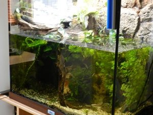 DSCN1527 (Kopie) (Kopie).JPG