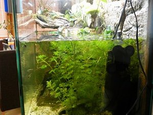 DSCN1528 (Kopie) (Kopie).JPG