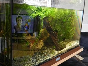 DSCN1529 (Kopie) (Kopie).JPG