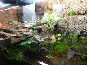 DSCN1530 (Kopie) (Kopie).JPG