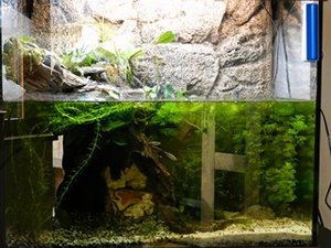 DSCN1532 (Kopie) (Kopie).JPG