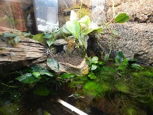 DSCN1536 (Kopie) (Kopie).JPG