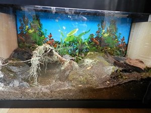 DSCN1537 (Kopie) (Kopie).JPG