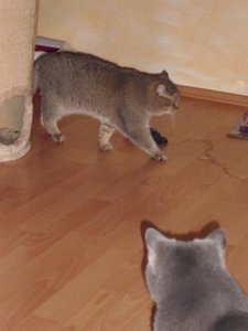 DSCI0013 (375x500).jpg