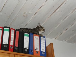 SDC10376.JPG SDC10376.JPG