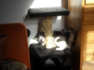 Chrispyy.JPG Chrispyy.JPG